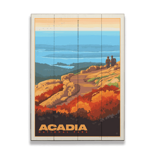 Acadia National Park: Cadillac Mountain - Wood & Metal Wall Art Wood & Metal Wall Art Anderson Design Group