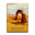 Desert Sunset