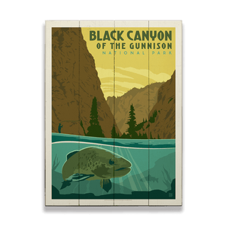 Black Canyon of the Gunnison National Park: River Trout - Wood & Metal Wall Art Wood & Metal Wall Art Anderson Design Group