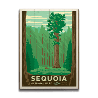 Sequoia National Park - Wood & Metal Wall Art Wood & Metal Wall Art Anderson Design Group