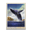 Breaching Whale
