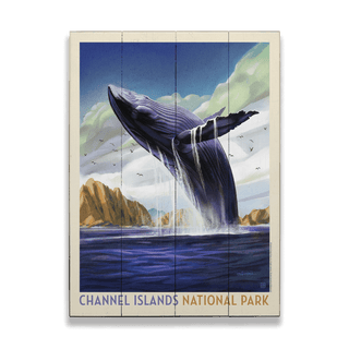 Channel Islands National Park: Breaching Whale - Wood & Metal Wall Art Wood & Metal Wall Art Anderson Design Group