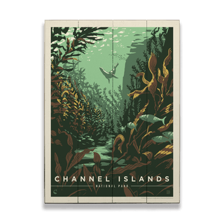 Channel Islands National Park: Sea Lion - Wood & Metal Wall Art Wood & Metal Wall Art Anderson Design Group