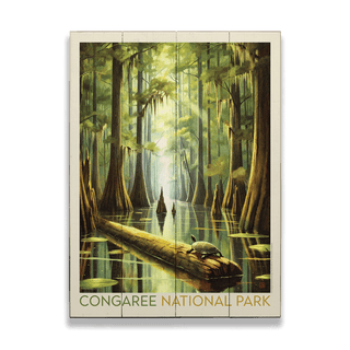 Congaree National Park: Turtle Time - Wood & Metal Wall Art Wood & Metal Wall Art Anderson Design Group