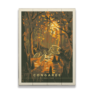 Congaree National Park: Daybreak - Wood & Metal Wall Art Wood & Metal Wall Art Anderson Design Group