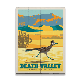 Death Valley National Park: Roadrunner - Wood & Metal Wall Art Wood & Metal Wall Art Anderson Design Group