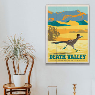 Death Valley National Park: Roadrunner - Wood & Metal Wall Art Wood & Metal Wall Art Anderson Design Group