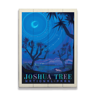 Joshua Tree National Park: Night Sky - Wood & Metal Wall Art Wood & Metal Wall Art Anderson Design Group
