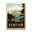 Lone Grizzly
