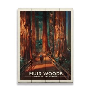 Muir Woods National Monument - Wood & Metal Wall Art Wood & Metal Wall Art Anderson Design Group