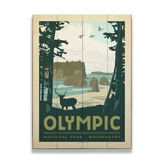 Olympic National Park: Daylight - Wood & Metal Wall Art Wood & Metal Wall Art Anderson Design Group