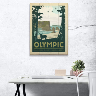 Olympic National Park: Daylight - Wood & Metal Wall Art Wood & Metal Wall Art Anderson Design Group