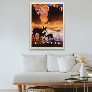 Olympic National Park: Twilight - Wood & Metal Wall Art Wood & Metal Wall Art Anderson Design Group