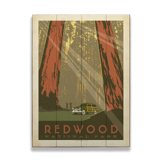 Redwood National Park: Sunrise Sequoias - Wood & Metal Wall Art Wood & Metal Wall Art Anderson Design Group
