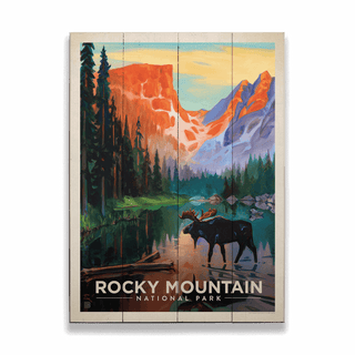 Rocky Mountain National Park: Twilight Moose - Wood & Metal Wall Art Wood & Metal Wall Art Anderson Design Group