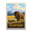 Bison Encounter