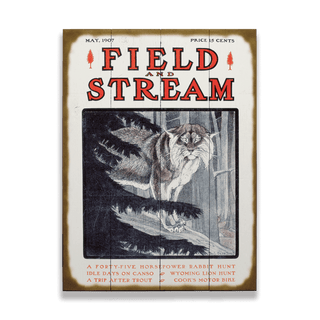 Field & Stream Cover May 1907 - Wood & Metal Wall Art Wood & Metal Wall Art Field & Stream Wood 9" x 12"