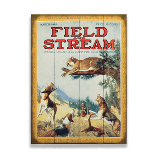 Field & Stream Cover March 1915 - Wood & Metal Wall Art Wood & Metal Wall Art Field & Stream Wood 9" x 12"