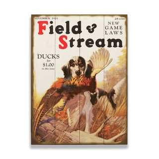 Field & Stream Cover November 1931 - Wood & Metal Wall Art Wood & Metal Wall Art Field & Stream Wood 9" x 12"