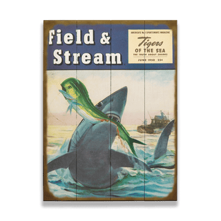 Field & Stream Cover June 1950 - Wood & Metal Wall Art Wood & Metal Wall Art Field & Stream Wood 9" x 12"