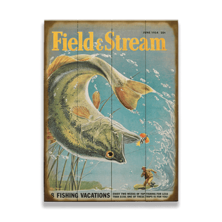 Field & Stream Cover June 1954 - Wood & Metal Wall Art Wood & Metal Wall Art Field & Stream Wood 9" x 12"