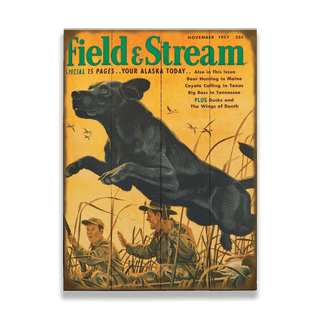 Field & Stream Cover November 1957 - Wood & Metal Wall Art Wood & Metal Wall Art Field & Stream Wood 9" x 12"