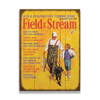 Field & Stream Cover February 1969 - Wood & Metal Wall Art Wood & Metal Wall Art Field & Stream Wood 9" x 12"