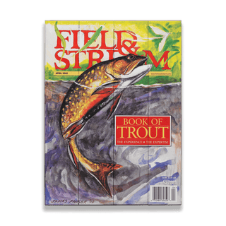 Field & Stream Cover April 2002 - Wood & Metal Wall Art Wood & Metal Wall Art Field & Stream Wood 9" x 12"