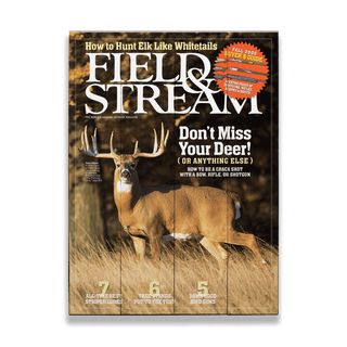 Field & Stream Cover September 2005: Whitetail - Wood & Metal Wall Art Wood & Metal Wall Art Field & Stream Wood 9" x 12"