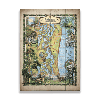 Amelia Island, Florida: Illustrated Map - Wood & Metal Wall Art Wood & Metal Wall Art Lisa Middleton Wood 17" x 23"