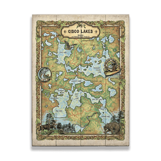 Cicso Lakes, Wisconsin: Illustrated Map - Wood & Metal Wall Art Wood & Metal Wall Art Lisa Middleton Wood 17" x 23"