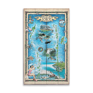 The Northern Exuma Islands, Bahamas: Illustrated Map - Wood & Metal Wall Art Wood & Metal Wall Art Lisa Middleton Wood 14" x 24"