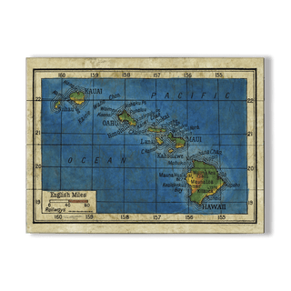 Vintage Map of the Hawaiian Islands - Wood & Metal Wall Art Wood & Metal Wall Art Lisa Middleton Wood 23" x 17"