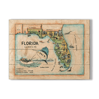 Vintage Kids Map of Florida - Wood & Metal Wall Art Wood & Metal Wall Art Lisa Middleton Wood 23" x 17"