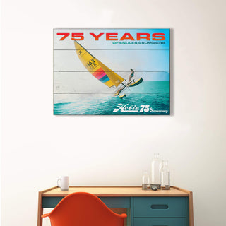 Hobie Cat Full Tilt - Wood & Metal Wall Art Wood & Metal Wall Art Hobie