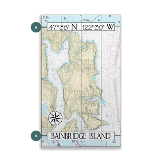 Bainbridge Island, WA, Area Chart - Wood & Metal Wall Art Wood & Metal Wall Art Joanne Murphy Wood 8" x 14"