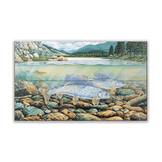 Montana Grayling - Wood & Metal Wall Art Wood & Metal Wall Art Monte Dolack Wood 24" x 14"