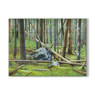 Cedar Forest in Glacier - Wood & Metal Wall Art Wood & Metal Wall Art Monte Dolack Wood 23" x 17"