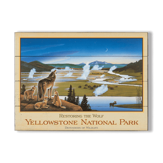 Restoring the Wolf - Wood & Metal Wall Art Wood & Metal Wall Art Monte Dolack Wood 23" x 17"