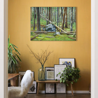 Cedar Forest in Glacier - Wood & Metal Wall Art Wood & Metal Wall Art Monte Dolack