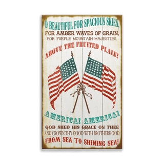 America the Beautiful: Generic - Wood & Metal Wall Art Wood & Metal Wall Art Meissenburg Designs Wood 8" x 14"