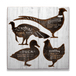 Fowl