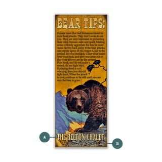 Tips For Grizzly Safety - Wood & Metal Wall Art Wood & Metal Wall Art Meissenburg Designs Wood 7" x 16"