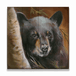 Bear in Branches: Bear 1