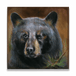 Bear in Branches: Bear 2