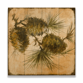 Evergreen Echo: Cone 3 - Wood & Metal Wall Art Wood & Metal Wall Art Marilynn Dwyer Mason Wood 18" x 18"