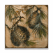 Whispering Pines: Cone 4