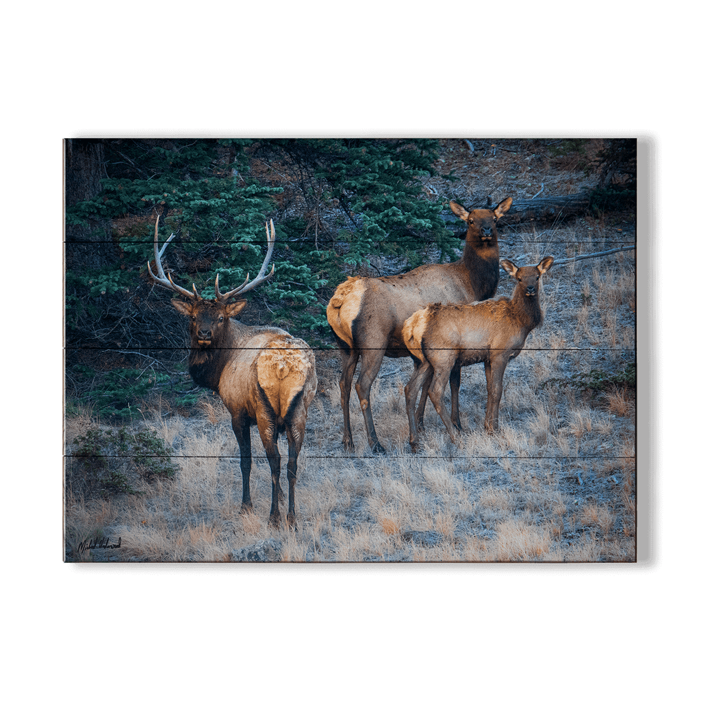 Three Elk Ensemble - Wood & Metal Wall Art – Old Wood Signs Wholesale
