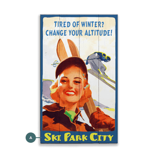 Change Your Altitude - Wood & Metal Wall Art