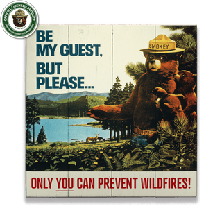 Smokey Bear 1967 Be My Guest: Generic - Wood & Metal Wall Art Wood & Metal Wall Art Smokey Bear Wood 10.5" x 10.5"